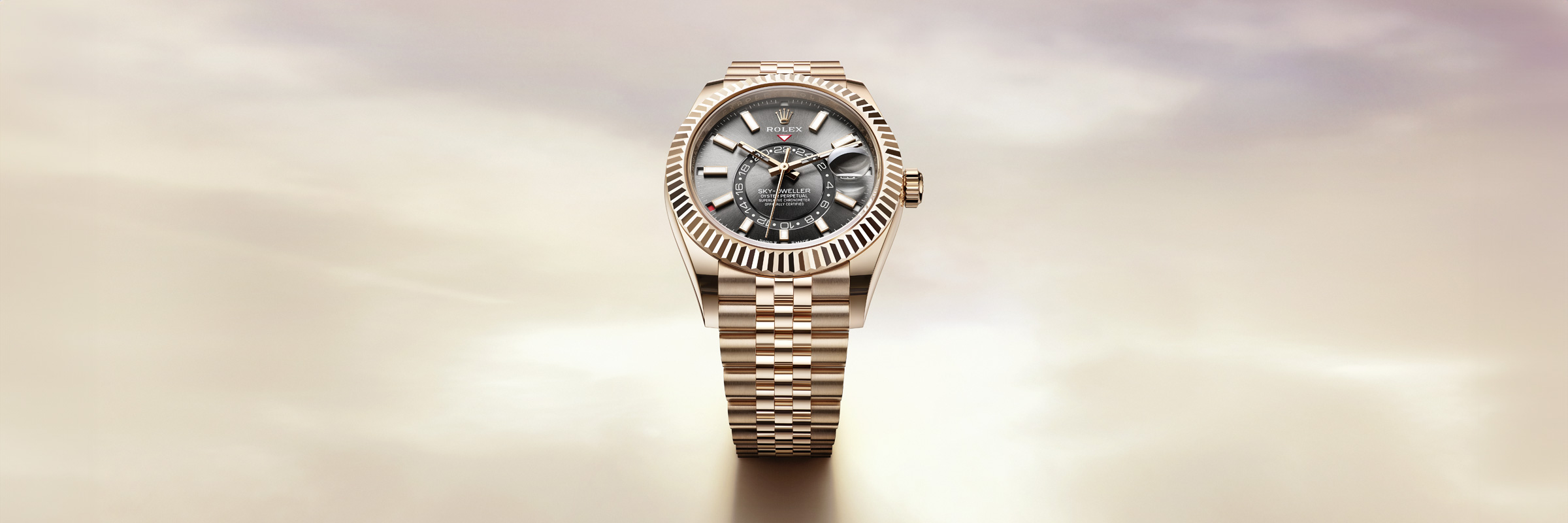 Sky Dweller Banner Image 3