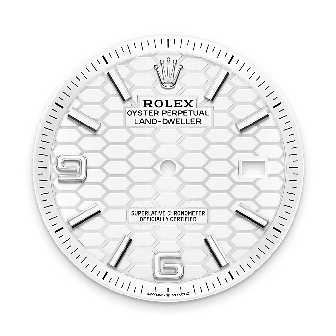 Rolex Product Banner