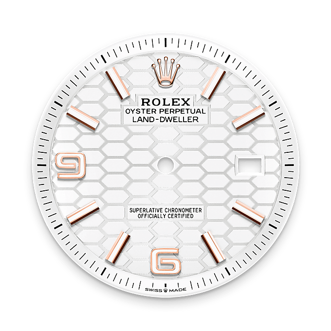 Rolex Product Banner